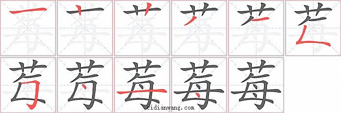 莓字笔顺分步演示图