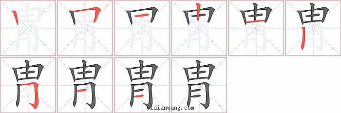 胄字笔顺分步演示图