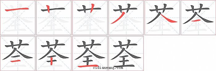 荃字笔顺分步演示图