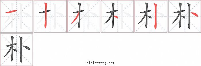 朴字笔顺分步演示图