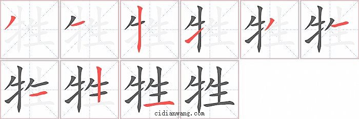牲字笔顺分步演示图