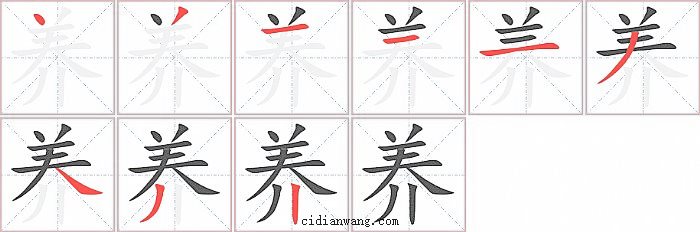 养字笔顺分步演示图