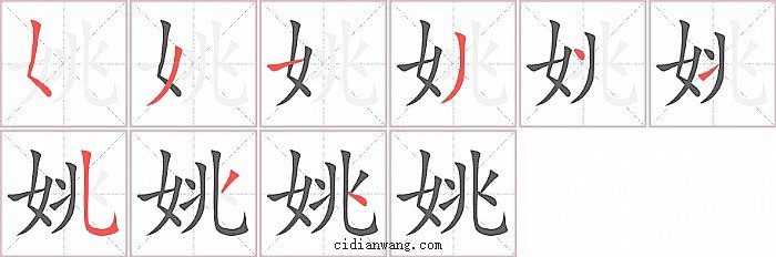 姚字笔顺分步演示图
