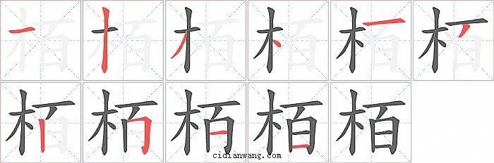 栢字笔顺分步演示图