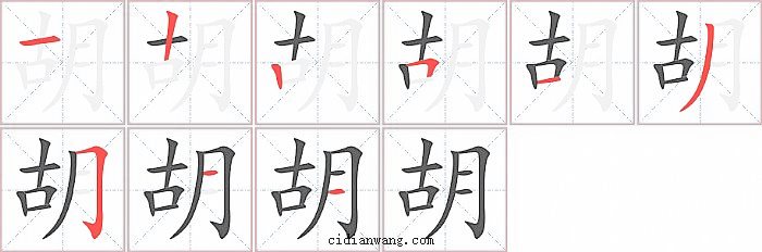 胡字笔顺分步演示图