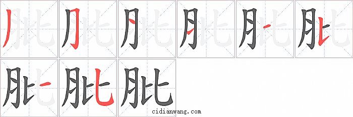 肶字笔顺分步演示图