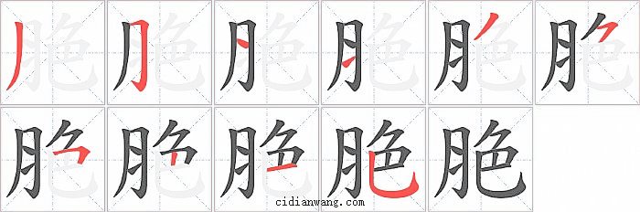 脃字笔顺分步演示图