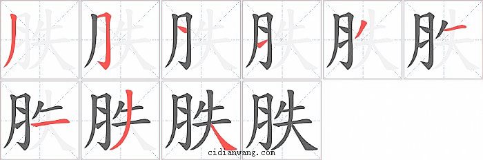 胅字笔顺分步演示图