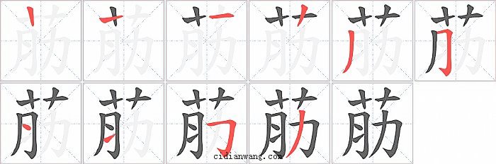 荕字笔顺分步演示图
