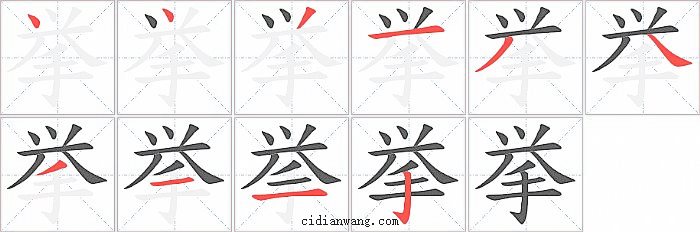 挙字笔顺分步演示图