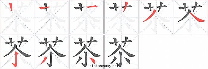 苶字笔顺分步演示图