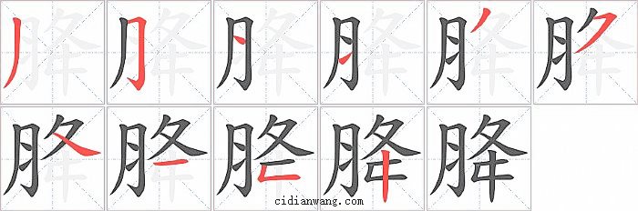 胮字笔顺分步演示图