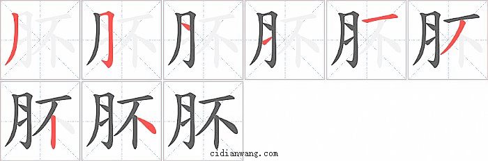 肧字笔顺分步演示图