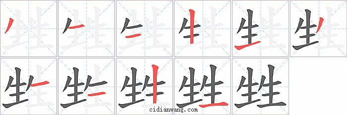 甡字笔顺分步演示图