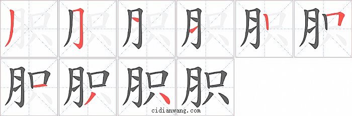 胑字笔顺分步演示图