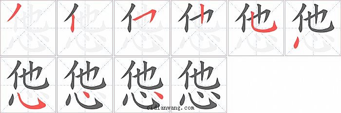 怹字笔顺分步演示图