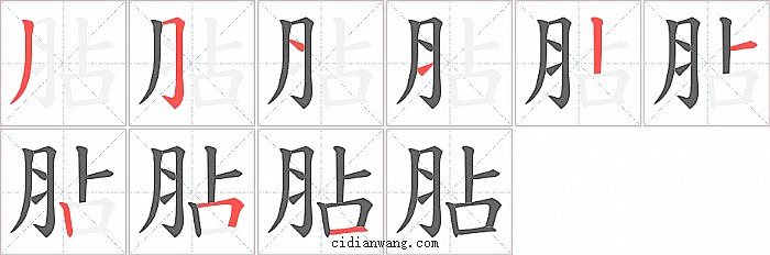 胋字笔顺分步演示图