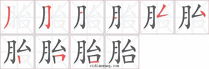 胎字笔顺分步演示图