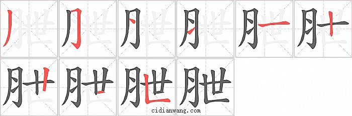 朑字笔顺分步演示图