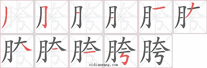 胯字笔顺分步演示图