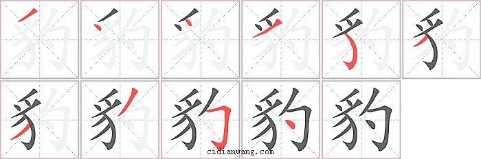 豹字笔顺分步演示图