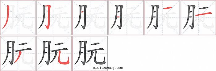 朊字笔顺分步演示图