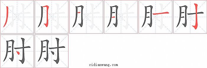 肘字笔顺分步演示图