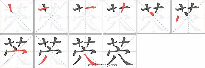 茓字笔顺分步演示图