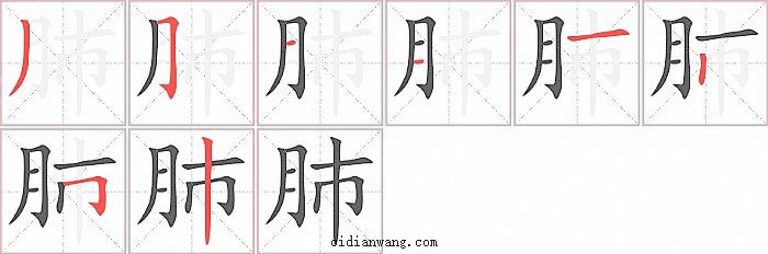 肺字笔顺分步演示图