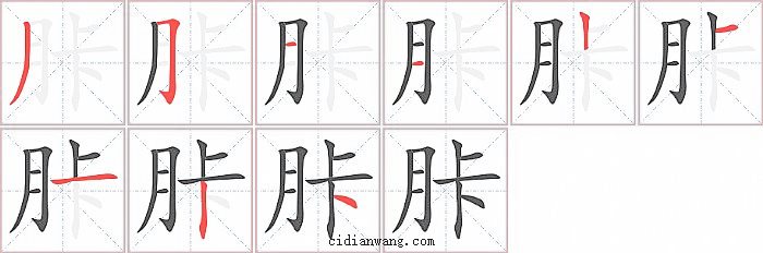 胩字笔顺分步演示图