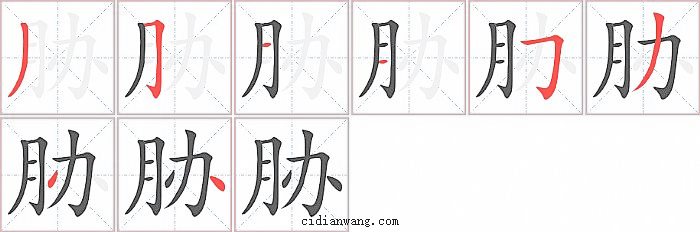 胁字笔顺分步演示图