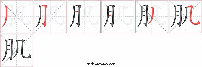 肌字笔顺分步演示图