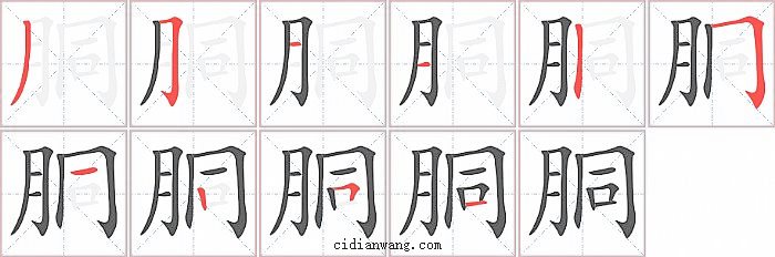 胴字笔顺分步演示图