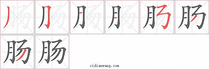 肠字笔顺分步演示图