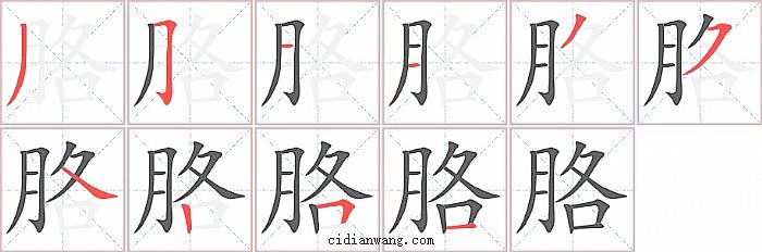 胳字笔顺分步演示图