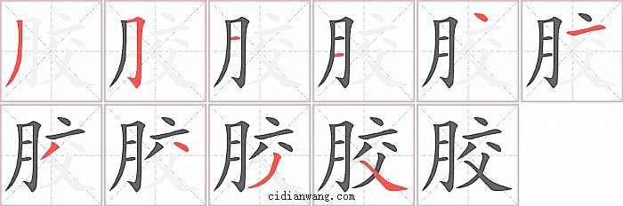 胶字笔顺分步演示图