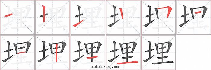 埋字笔顺分步演示图