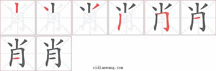 肖字笔顺分步演示图