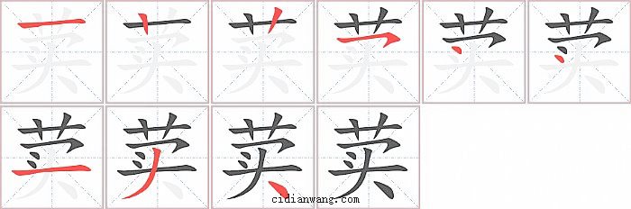 荬字笔顺分步演示图
