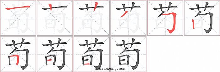 荀字笔顺分步演示图