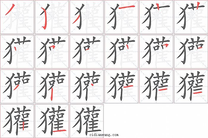 獾字笔顺分步演示图