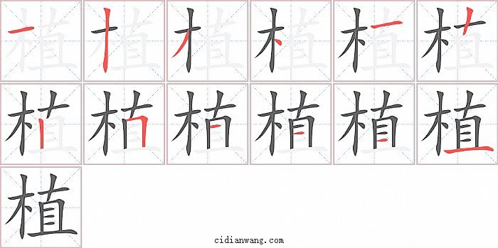 植字笔顺分步演示图