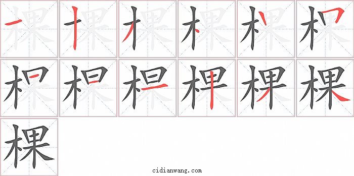棵字笔顺分步演示图