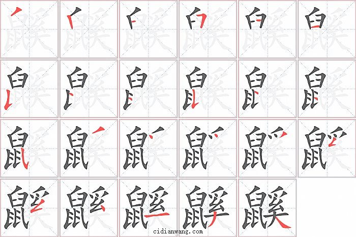 鼷字笔顺分步演示图