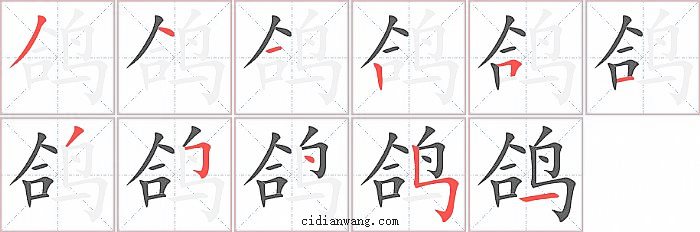 鸽字笔顺分步演示图
