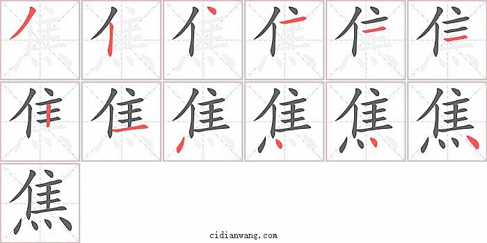 焦字笔顺分步演示图