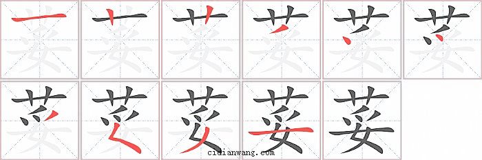 荽字笔顺分步演示图