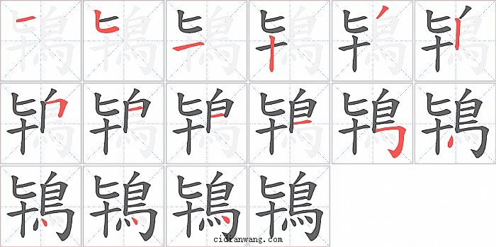 鴇字笔顺分步演示图