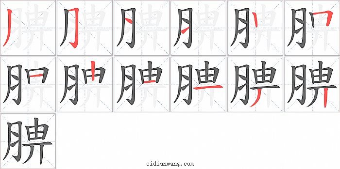腗字笔顺分步演示图