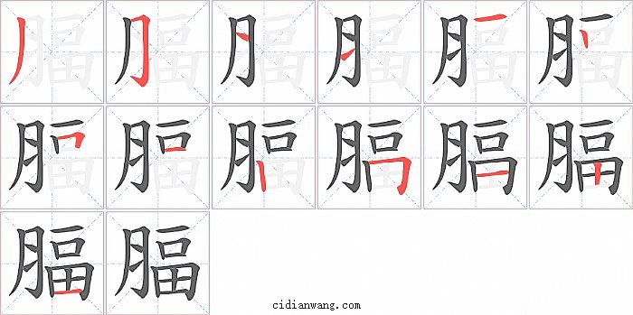 腷字笔顺分步演示图